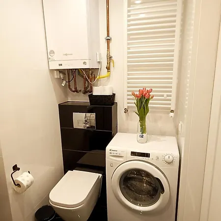 Pod Brzozami Apartment *