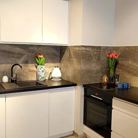 Apartament Pod Brzozami *