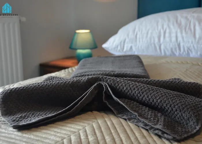 Pod Brzozami 아파트 *