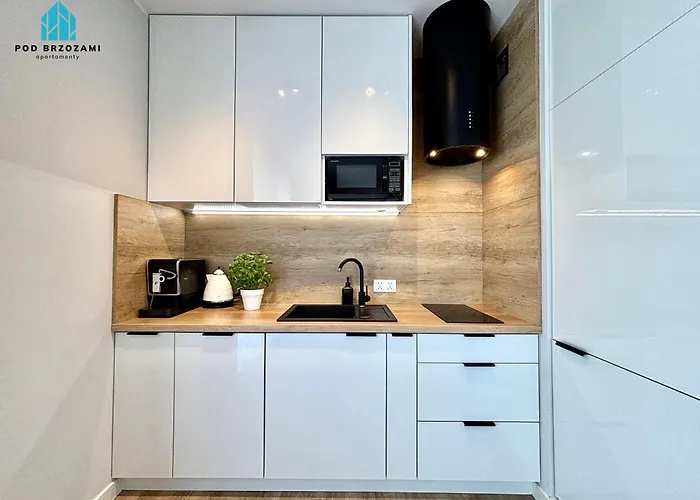 아파트 Pod Brzozami *