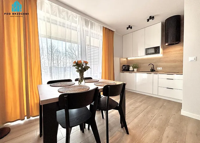 아파트 Pod Brzozami *